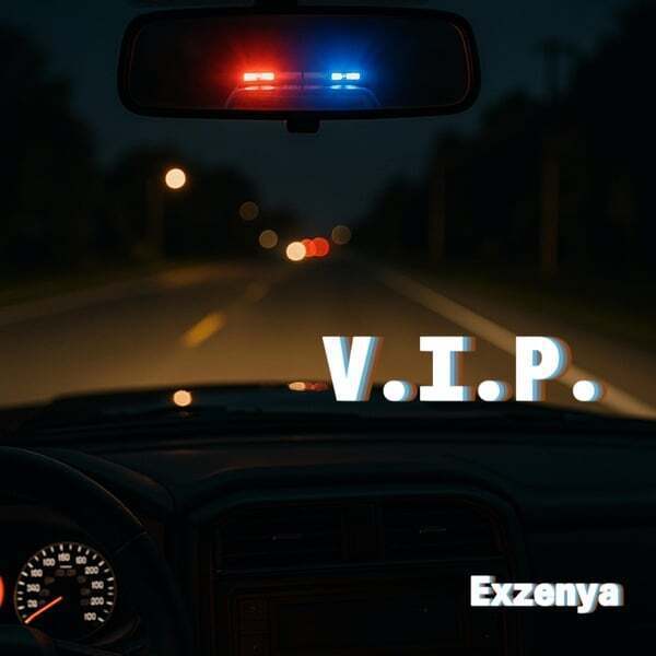 Cover art for V.I.P.